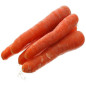 *PRODUIT BLOQUE* CAROTTE SELECTION BELCARO 12KG